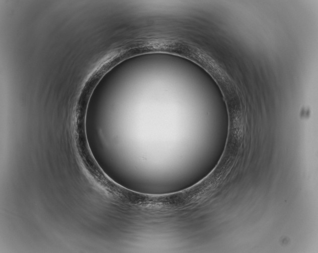 X0000097630730200803071530