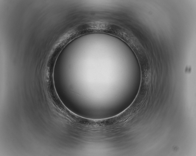 X0000097630731200803071530