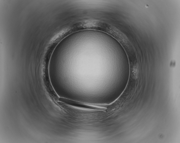 X0000097630732200803071530