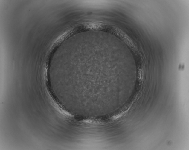 X0000097630733200803071530