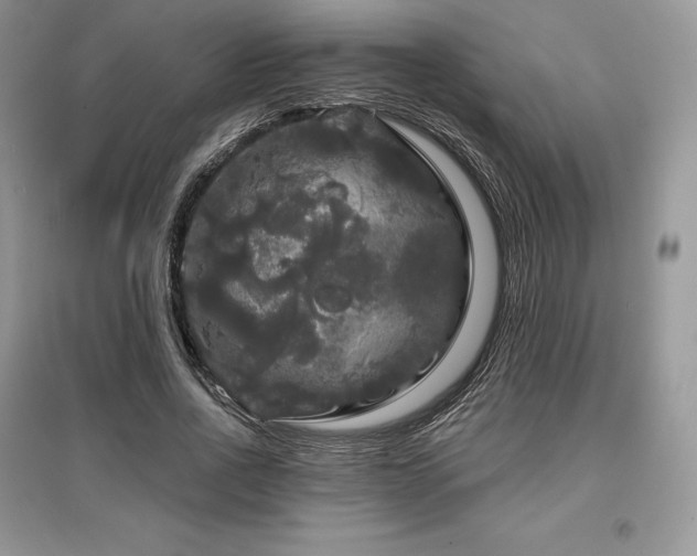 X0000097630734200803071530