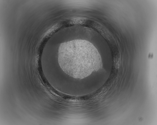 X0000097630735200803071530