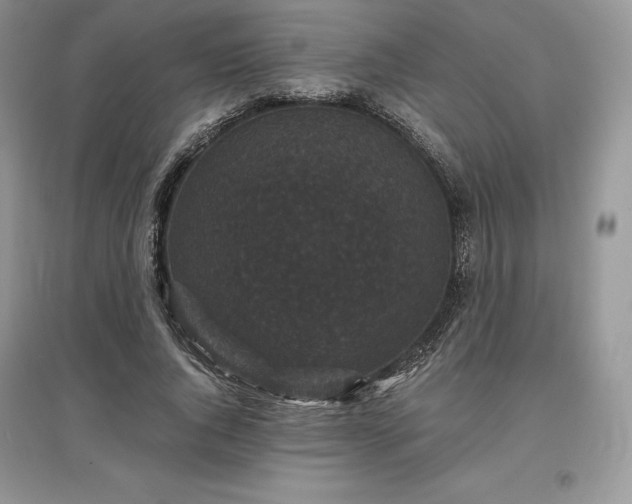 X0000097630736200803071530