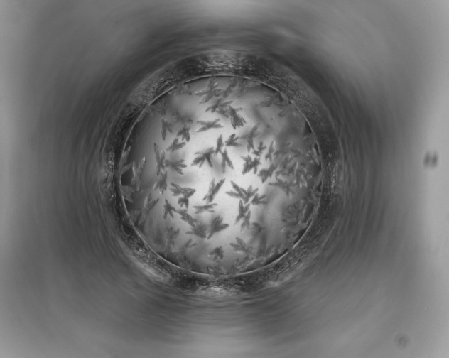 X0000097630737200803071530