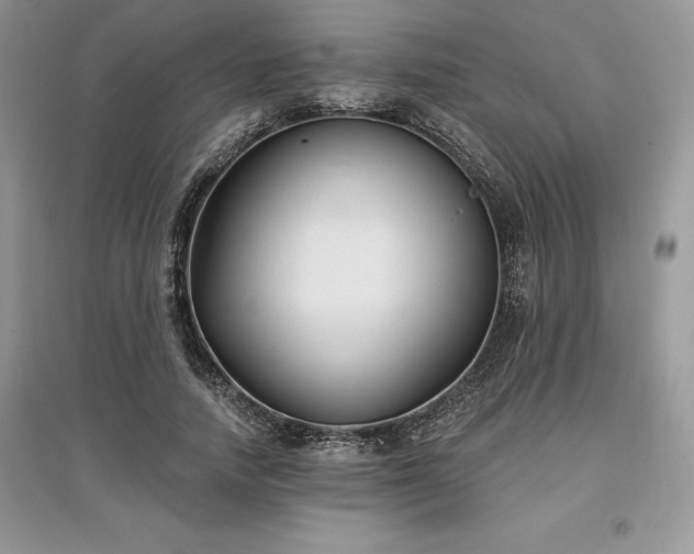 X0000097630738200803071530