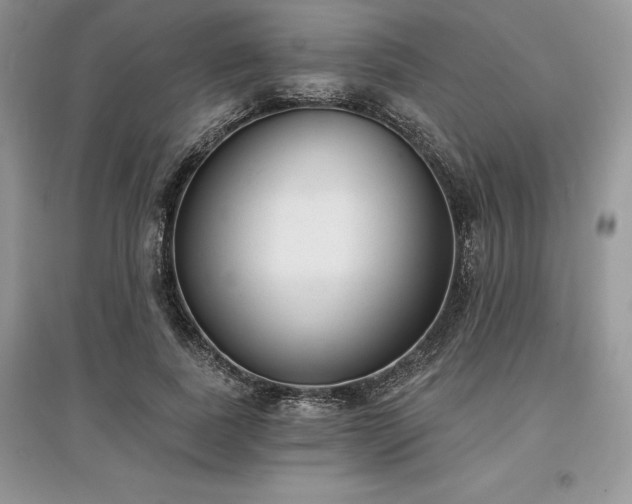 X0000097630739200803071530