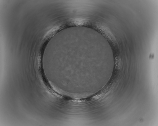 X0000097630740200803071530