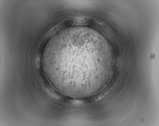 X0000097630741200803071530