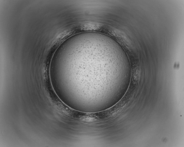 X0000097630743200803071530