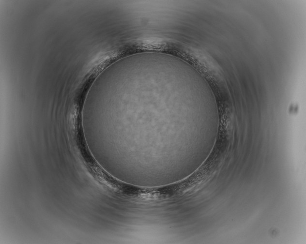 X0000097630744200803071530