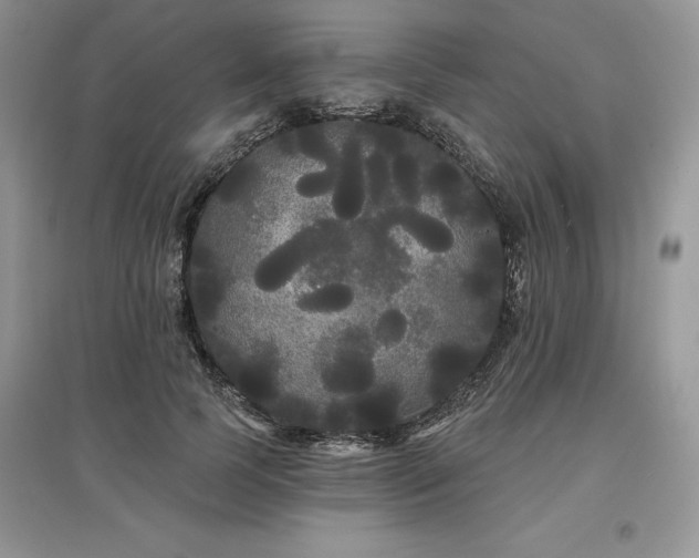 X0000097630745200803071530