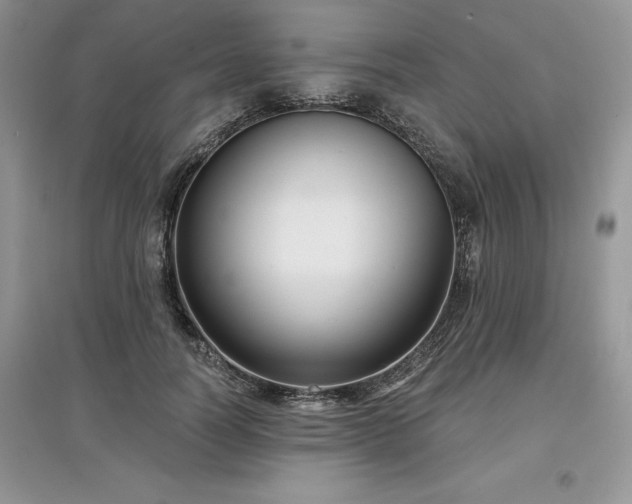 X0000097630746200803071530