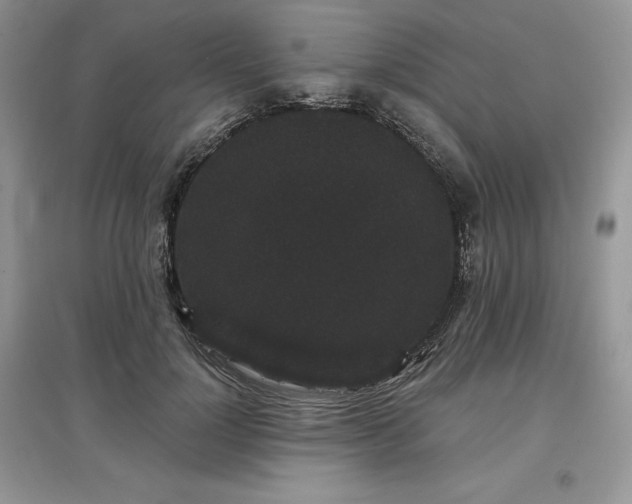 X0000097630748200803071530