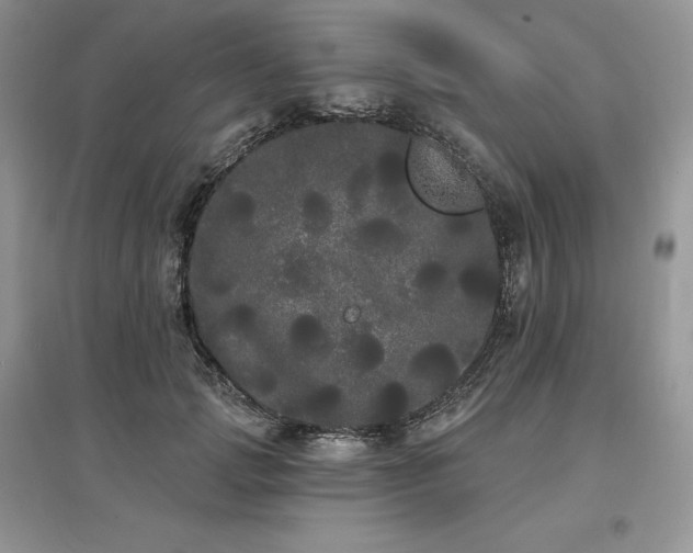 X0000097630749200803071530