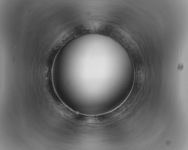 X0000097630750200803071530