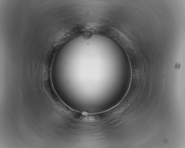 X0000097630751200803071530