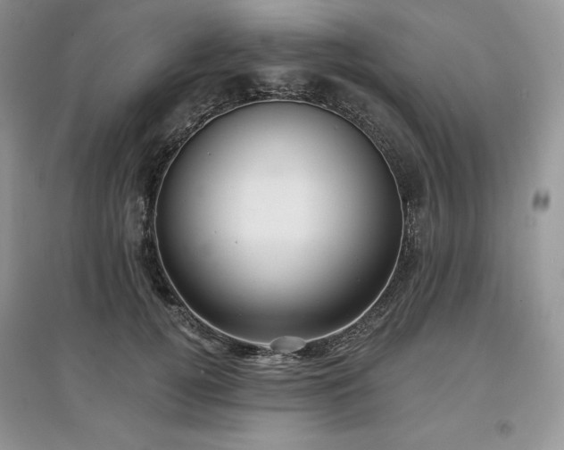 X0000097630752200803071530