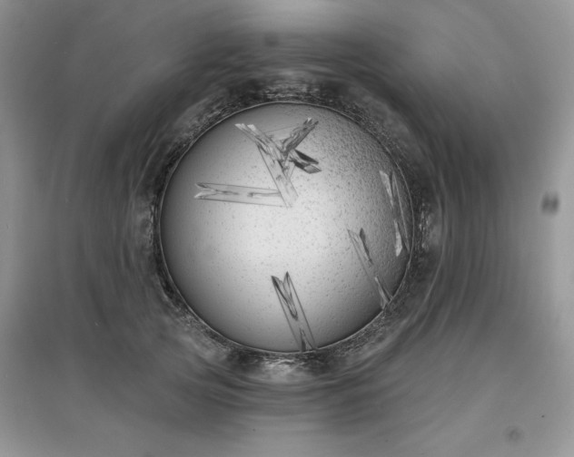 X0000097630753200803071530