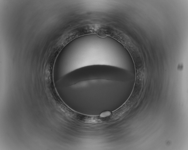 X0000097630754200803071530