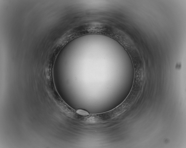 X0000097630755200803071530