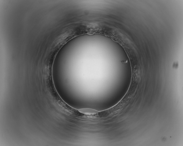 X0000097630756200803071530