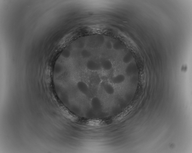 X0000097630757200803071530