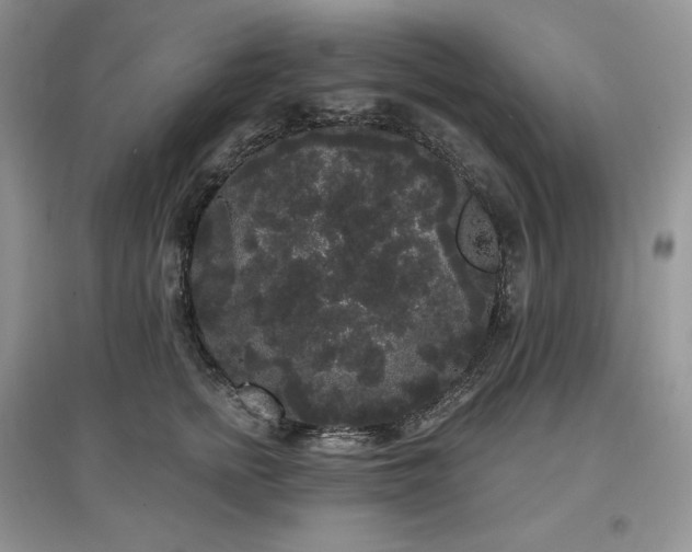 X0000097630758200803071530