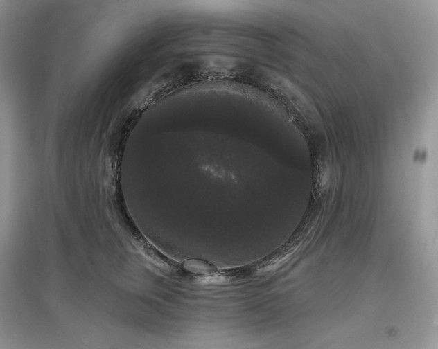 X0000097630759200803071530