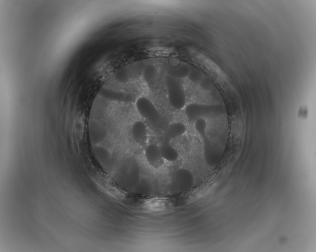 X0000097630761200803071530