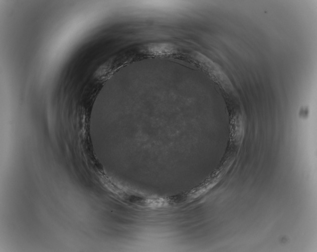 X0000097630762200803071530