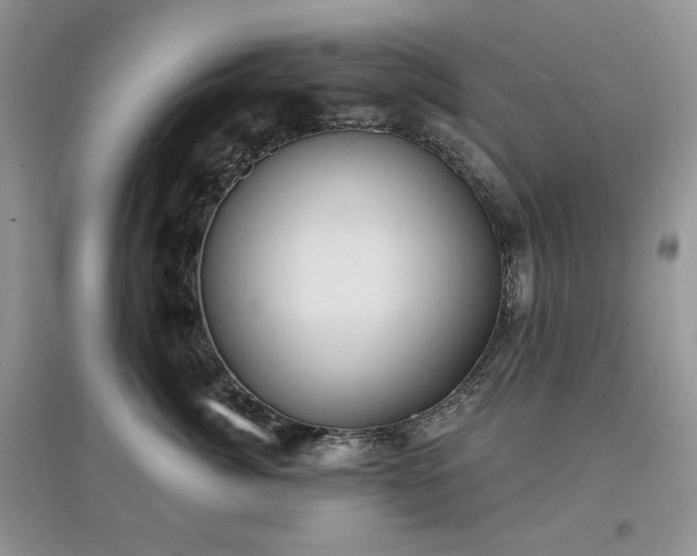 X0000097630764200803071530