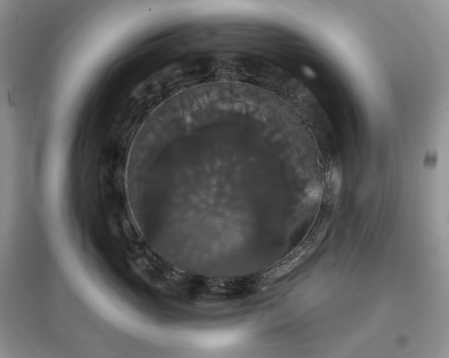 X0000097630765200803071530