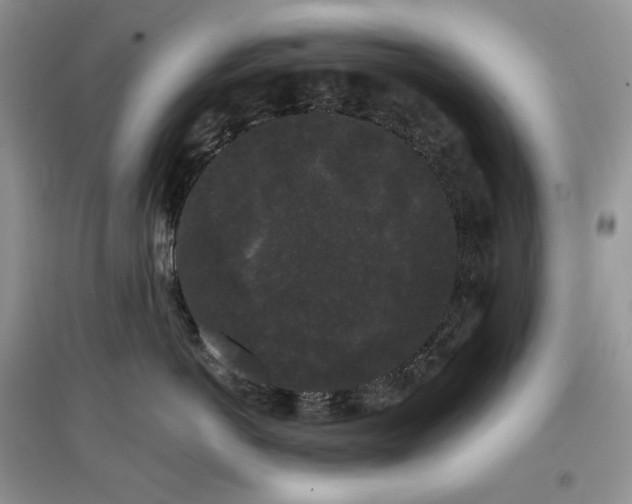 X0000097630766200803071530