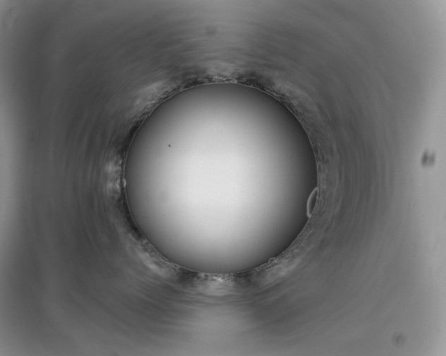 X0000097630768200803071530