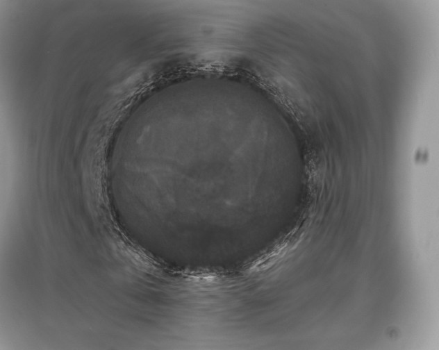 X0000097630769200803071530