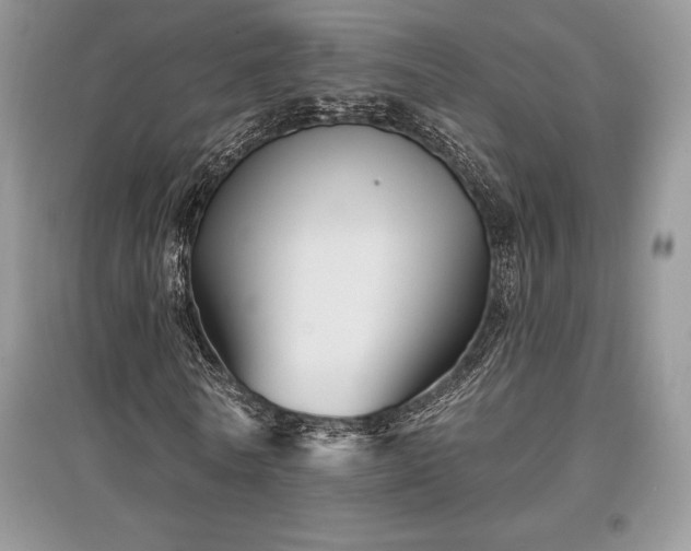 X0000097630770200803071530