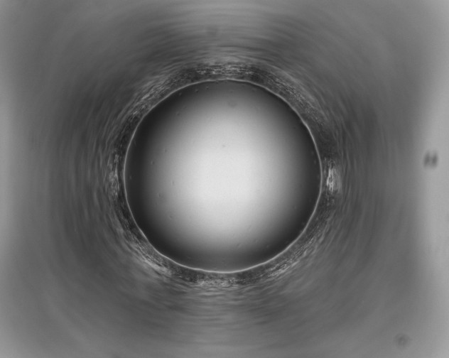 X0000097630771200803071530