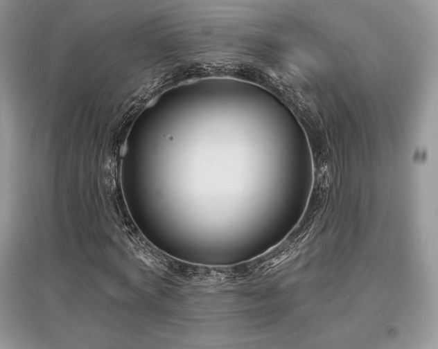 X0000097630772200803071530