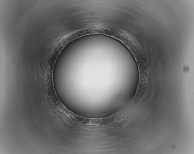 X0000097630773200803071530