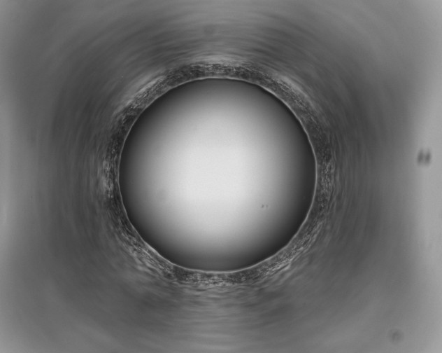 X0000097630774200803071530