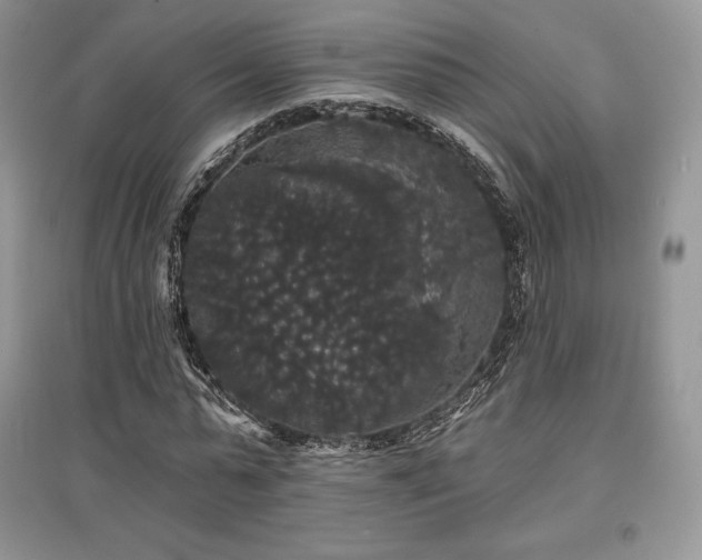 X0000097630775200803071530