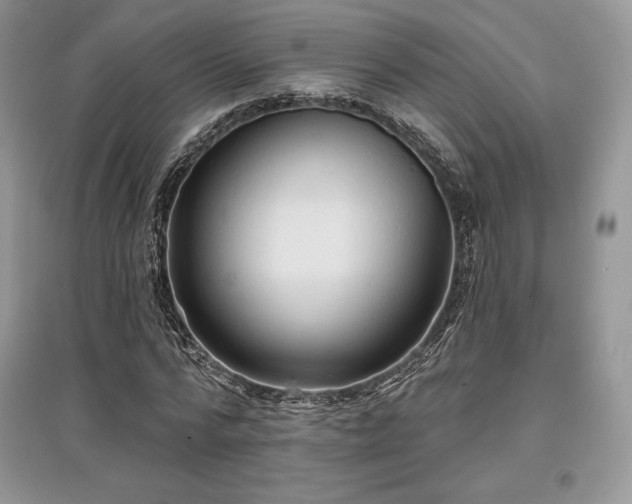 X0000097630776200803071530