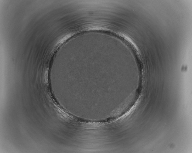 X0000097630777200803071530