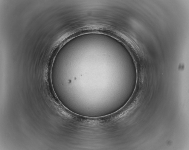 X0000097630778200803071530