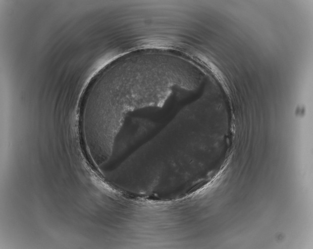 X0000097630779200803071530