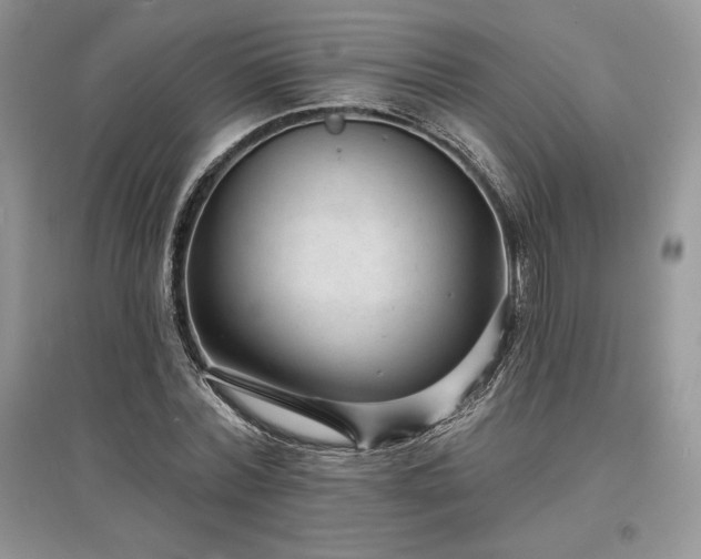 X0000097630780200803071530