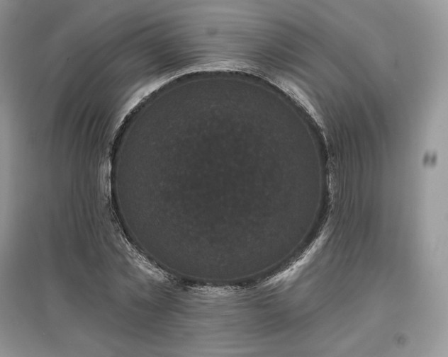 X0000097630781200803071530