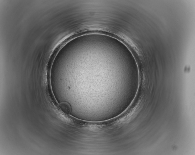 X0000097630782200803071530