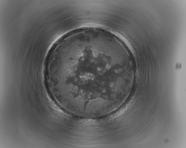 X0000097630783200803071530