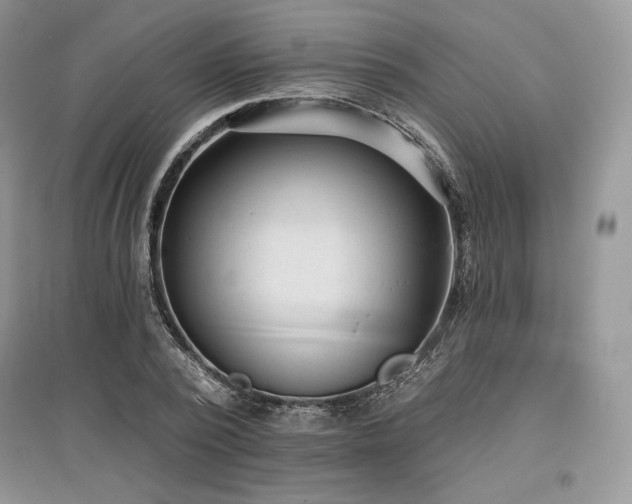 X0000097630784200803071530